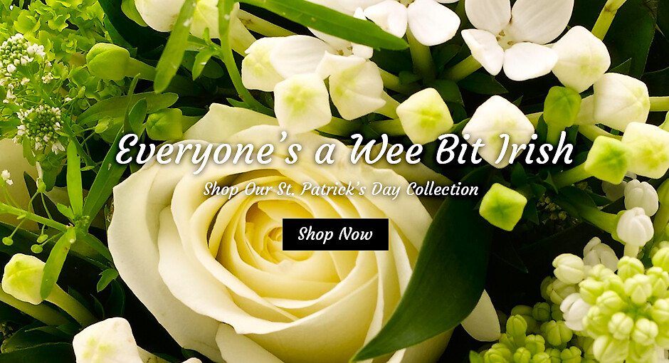 St. Patrick's Day Banner