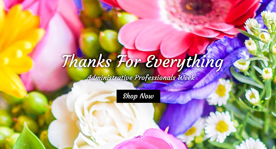 Admin Professionals Banner